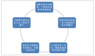 2018年中國(guó)網(wǎng)絡(luò)可視化市場(chǎng)現(xiàn)狀及發(fā)展趨勢(shì)