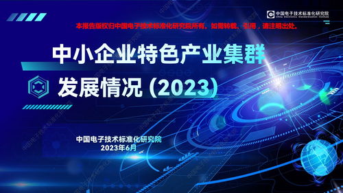 中國(guó)電子技術(shù)標(biāo)準(zhǔn)化研究院2023年中小企業(yè)特色產(chǎn)業(yè)集群發(fā)展情況 聚焦計(jì)算機(jī)網(wǎng)絡(luò)科技技術(shù)開發(fā)